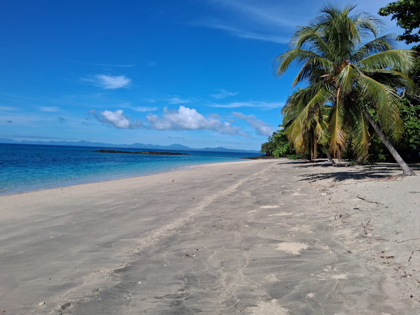IMG-20250512-WA0044