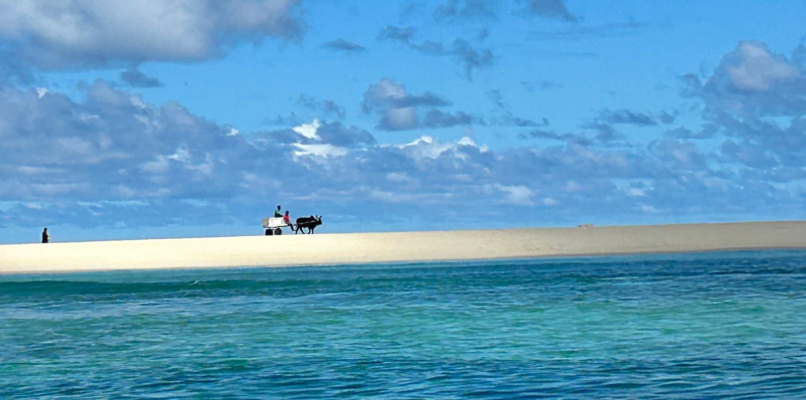 IMG-20250512-WA0113