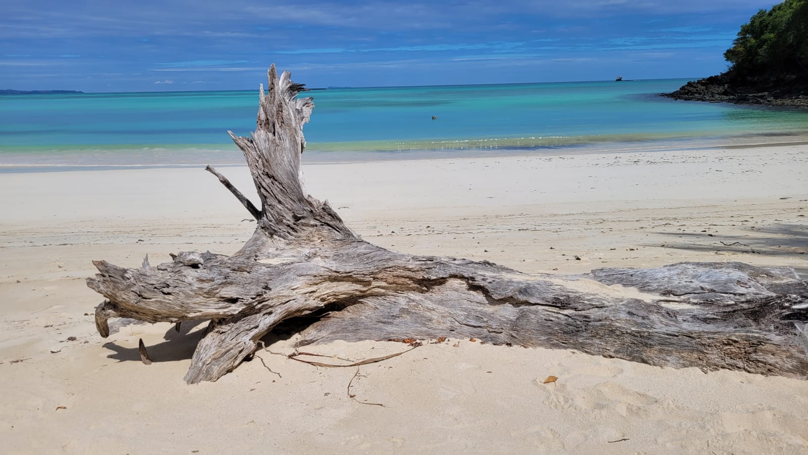 IMG-20250604-WA0018